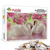 Puzzle One Piece 1000 pièces Dinosaure Puzzle Puzzle Adulte pour Adultes et Enfants dès 14 Ans - Premium Puzzle de qualité su