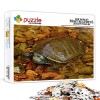 Puzzle 1000 Pieces Adulte Loup Animal Lune Puzzle Puzzle Adulte Art DIY Jeu Occasionnel Jouets Cadeau Intéressants Ami De La 