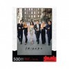 NMR Distribution 62172 Friends TV Series Wedding 500pc Jigsaw Puzzle nm , Black