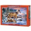 Castorland- Puzzle, CSB53049, Coloris Assortis