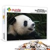 Puzzle Adulte 1000 pièces Porc Puzzle Puzzle Friends Jeu de Cerveau Puzzle en lentraînement cérébral des Enfants et des Adol