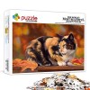 Puzzle Adulte 1000 pièces Porc Puzzle Puzzle Friends Jeu de Cerveau Puzzle en lentraînement cérébral des Enfants et des Adol