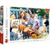 Trefl- Hunde im Garten 1000 Pièces Jouant Banc Rencontre DIY Divertissement Créatif Cadeau Amusement Puzzles Classiques pour 