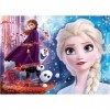 Clementoni- Supercolor Disney La Reine des Neiges 2-2x60 Enfant-boîte de 2 Puzzles 60 pièces -fabriqué en Italie, 5 Ans et 