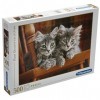 Clementoni - 30545.2 - Puzzle - Deux chatons - 500 Pièces