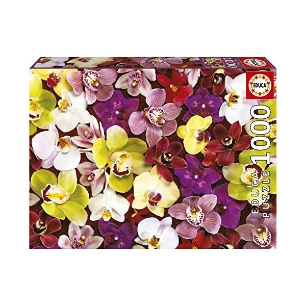 Educa - Collage Orchidées | Puzzle de 1000 pièces. Mesure : 68 x 48 cm. Comprend Fix Puzzle Tail pour laccrocher Une Fois l