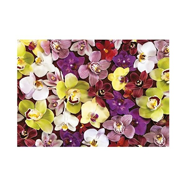 Educa - Collage Orchidées | Puzzle de 1000 pièces. Mesure : 68 x 48 cm. Comprend Fix Puzzle Tail pour laccrocher Une Fois l