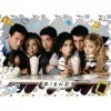 Ravensburger - Puzzle Adulte - Puzzle 500 p - Ill Be There for You / Friends - 16932