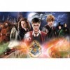 Trefl-300 Pièces Puzzle, 23001, Harry Potter mystérieux, Der geheimnisvolle Harry Potter