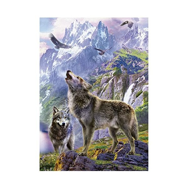 Educa - Loups sur Les Rochers | 500 pièces Puzzle. Mesure : 34 x 48 cm. Comprend Fix Puzzle Tail pour laccrocher Une Fois l