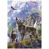 Educa - Loups sur Les Rochers | 500 pièces Puzzle. Mesure : 34 x 48 cm. Comprend Fix Puzzle Tail pour laccrocher Une Fois l