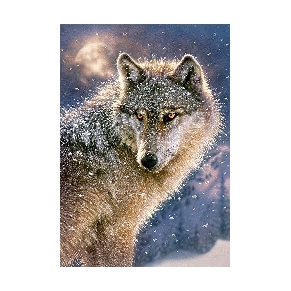 Castorland - B-52431 - Puzzle - Loup Solitaire - 500 Pièces