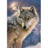 Castorland - B-52431 - Puzzle - Loup Solitaire - 500 Pièces