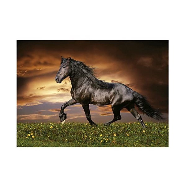 Educa - Cheval Au Trot | Puzzle de 1000 pièces. Mesure : 68 x 48 cm. Comprend Fix Puzzle Tail pour laccrocher Une Fois lass