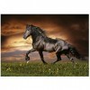 Educa - Cheval Au Trot | Puzzle de 1000 pièces. Mesure : 68 x 48 cm. Comprend Fix Puzzle Tail pour laccrocher Une Fois lass