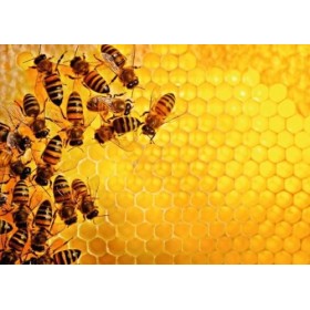 Ravensburger - Puzzle 1000 pièces - La ruche aux abeilles Challenge Puzzle - Adultes et enfants dès 14 ans - Puzzle de qual