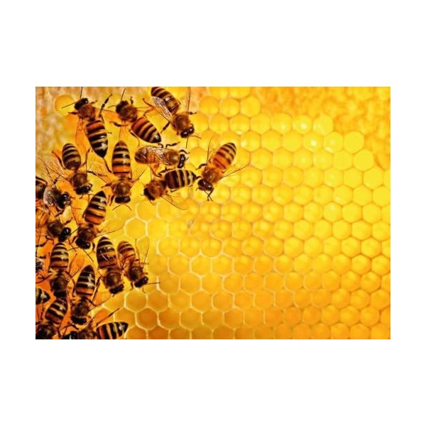 Ravensburger - Puzzle 1000 pièces - La ruche aux abeilles Challenge Puzzle - Adultes et enfants dès 14 ans - Puzzle de qual