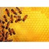 Ravensburger - Puzzle 1000 pièces - La ruche aux abeilles Challenge Puzzle - Adultes et enfants dès 14 ans - Puzzle de qual
