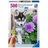 Ravensburger - 136827 - Puzzle Charmant Husky 500 Pièces