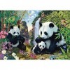 Schmidt Spiele 57380 Famille Panda à la Cascade, Puzzle de 500 pièces, Multicolore, Taille Unique