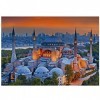 Educa - Puzzle de 1000 pièces | Hagia Sophia, Istanbul. Mesure : 68 x 48 cm. Comprend Fix Puzzle Tail pour laccrocher Une Fo