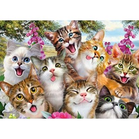 Schmidt 58391 Jigsaw Puzzle Cat Selfie 500 pcs 
