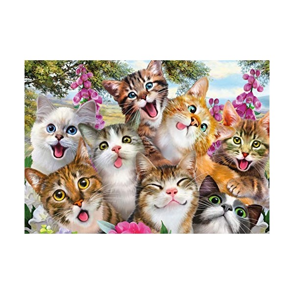 Schmidt 58391 Jigsaw Puzzle Cat Selfie 500 pcs 