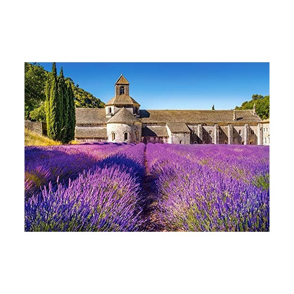 Castorland- Lavender Field in Provence,France,Puzzle 1000 Teile 104284-2, coloré