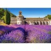 Castorland- Lavender Field in Provence,France,Puzzle 1000 Teile 104284-2, coloré