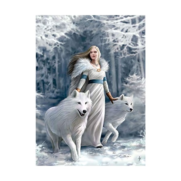 Clementoni Clementoni-39477-Anne Stokes Collection-Winter Guardians-1000 pièces, 39477, multicolore