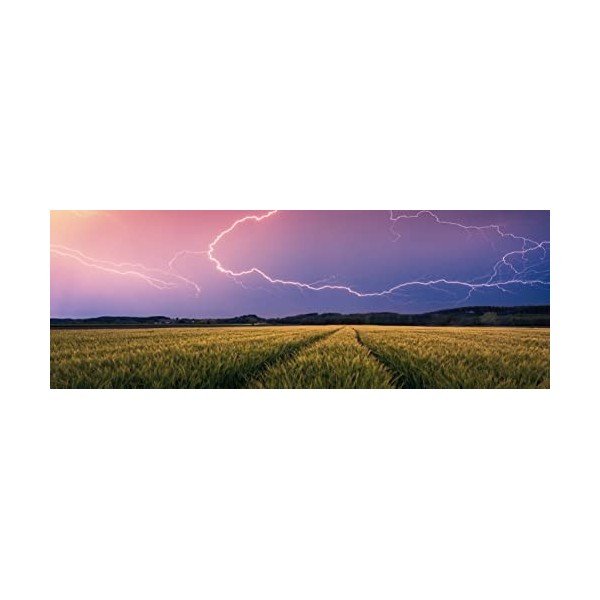 Ravensburger - Puzzle Adulte - Puzzle 500 pièces panoramique - Orage dété Nature edition - Adultes et enfants dès 12 ans -