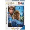 Ravensburger - Puzzle Adulte - Puzzle 500 p - Harry Potter à Poudlard - 14821