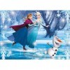 Clementoni - 20601.8 - Puzzle Bijoux - La Reine des Neiges - 104 Pièces