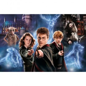 Trefl, Monde Magique de Harry Potter 160 XL Super Shape Forme Folle, Grandes Pièces, Puzzle avec Les Personnages du Film, 500