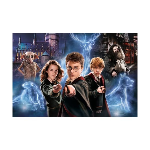 Trefl, Monde Magique de Harry Potter 160 XL Super Shape Forme Folle, Grandes Pièces, Puzzle avec Les Personnages du Film, 500