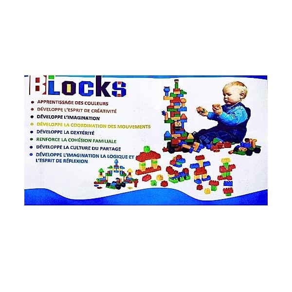 PRINCESS LOMELIA Blocks Cubes Jeux de Construction Multicolore de 130 Cubes avec Planche étiquette Dessins décoratifs pour la