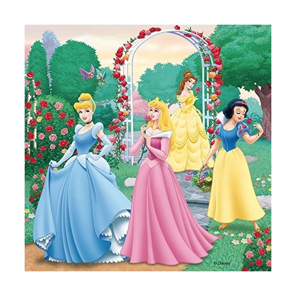 Ravensburger - Puzzle Enfant - Puzzles 3x49 p - Rêves de princesses - Disney Princesses - Dès 5 ans - 09411