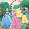 Ravensburger - Puzzle Enfant - Puzzles 3x49 p - Rêves de princesses - Disney Princesses - Dès 5 ans - 09411