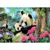 Educa - Puzzle de 1000 pièces pour Adultes | Pandas. Comprend Fix Puzzle Tail pour laccrocher Une Fois lassemblage terminé.