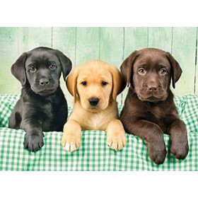 Clementoni - 39279.7 - Puzzle - Trois Labrador - 1000 pièces