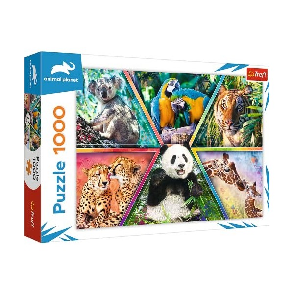 Trefl Monde Cadres Colorés Puzzle Divertissement Créatif Cadeau Amusement 1000 Pièces Qualité Premium pour Adultes et Enfants