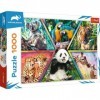 Trefl Monde Cadres Colorés Puzzle Divertissement Créatif Cadeau Amusement 1000 Pièces Qualité Premium pour Adultes et Enfants