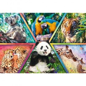 Trefl Monde Cadres Colorés Puzzle Divertissement Créatif Cadeau Amusement 1000 Pièces Qualité Premium pour Adultes et Enfants