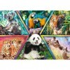 Trefl Monde Cadres Colorés Puzzle Divertissement Créatif Cadeau Amusement 1000 Pièces Qualité Premium pour Adultes et Enfants