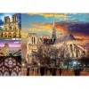 Educa - Puzzle de 1000 pièces pour Adultes | CollagedDe Notre-Dame. Comprend Fix Puzzle Tail pour laccrocher Une Fois lasse