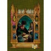 Ravensburger - Puzzle Adulte - Puzzle 1000 p - Harry Potter et le Prince de Sang-mêlé Collection Harry Potter MinaLima - 16