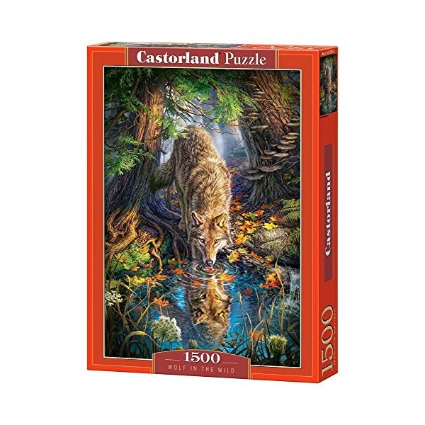 Castorland - CSC151707 - Puzzle - Divers