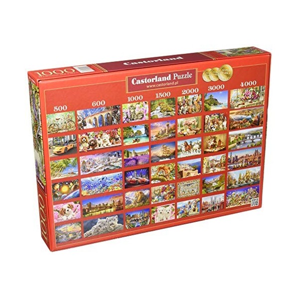 Castorland Puzzle 1000 pièces-The Flower Mart, C-103898, Multicolore