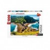 Nathan - Puzzle Adulte - Puzzle N 1000 p - Lîle aux dragons - Adultes et enfants à partir de 14 ans - Puzzle Premium de qual