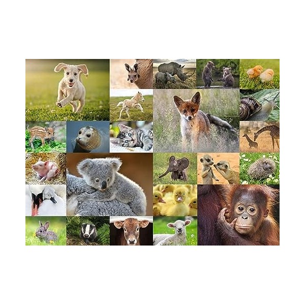 Ravensburger - Puzzle pour enfants - 200 p XXL - Adorables bébés animaux - Dès 8 ans - Puzzle de qualité supérieure - Carton 